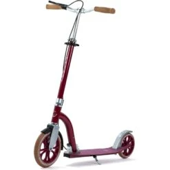 Frenzy 230mm Dual Brake Recreational Commuter Scooter - Burgundy