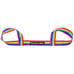 Moxi Skate Leash - Rainbow